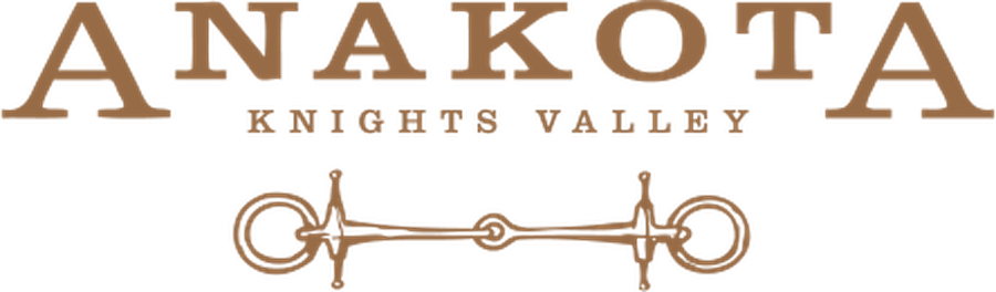 Anakota Knights Valley logo